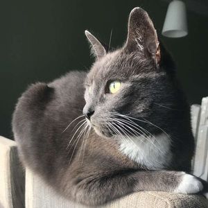 Meet your Posher, Janelle